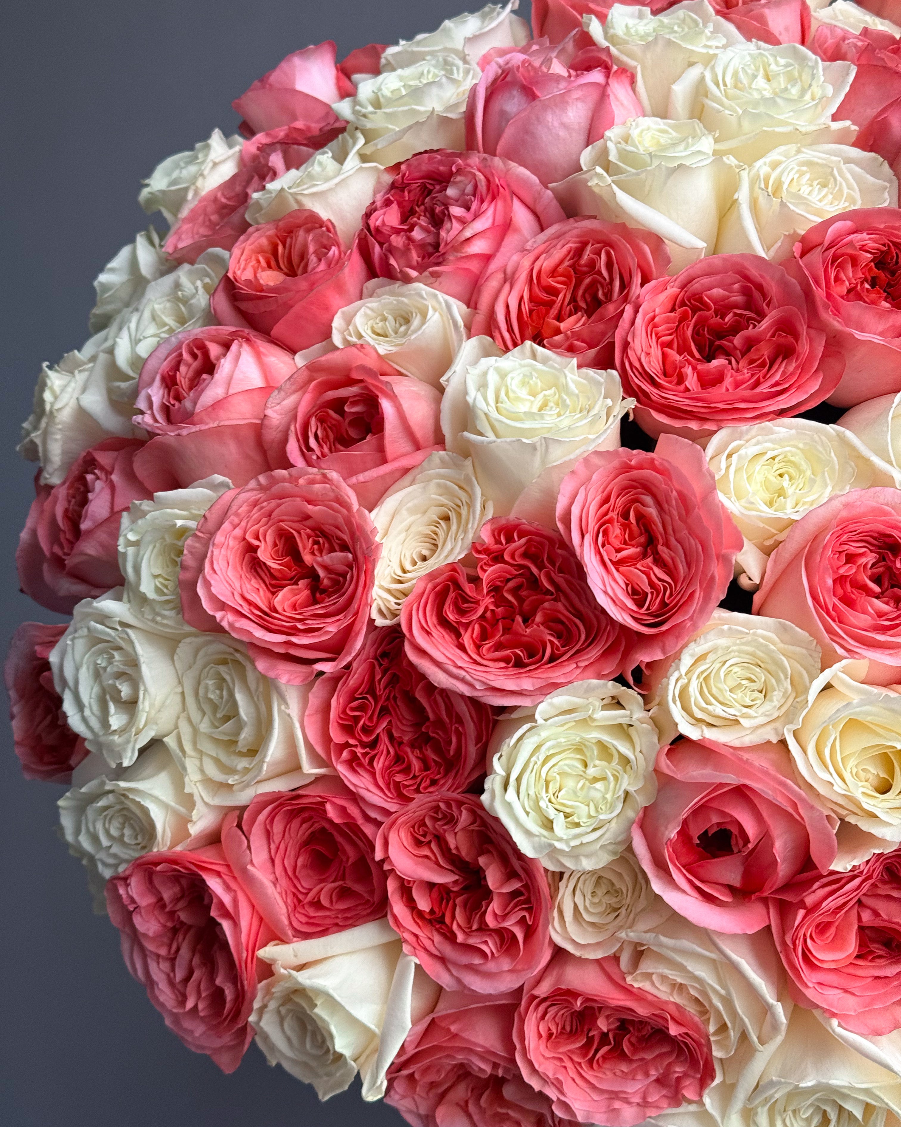 duo-100-white-pink-garden-roses-round-bouquet-all-me-flowers-nyc