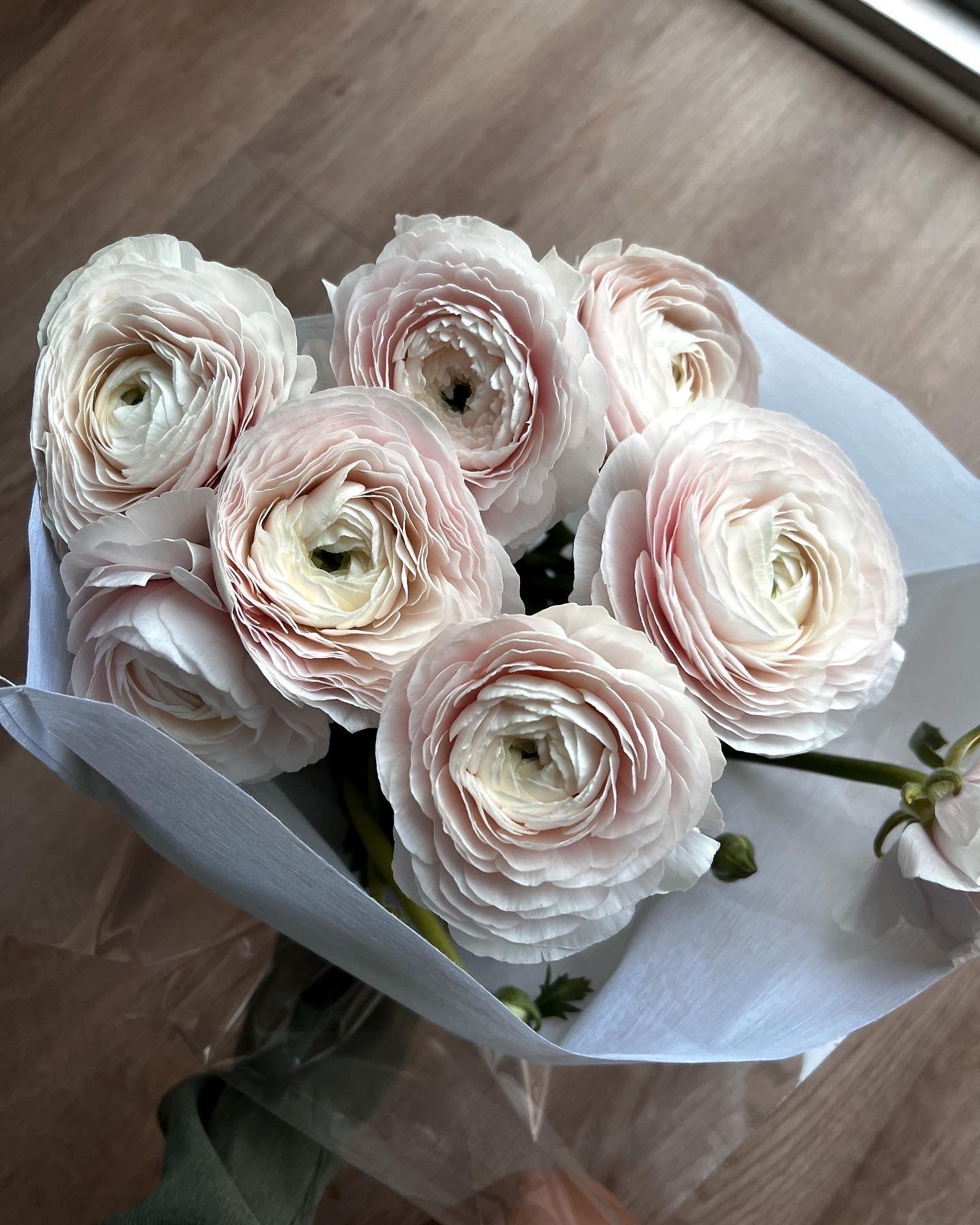 mono-bouquet-white-ranunculuses-with-eucalyptus-all-me-flowers-nyc