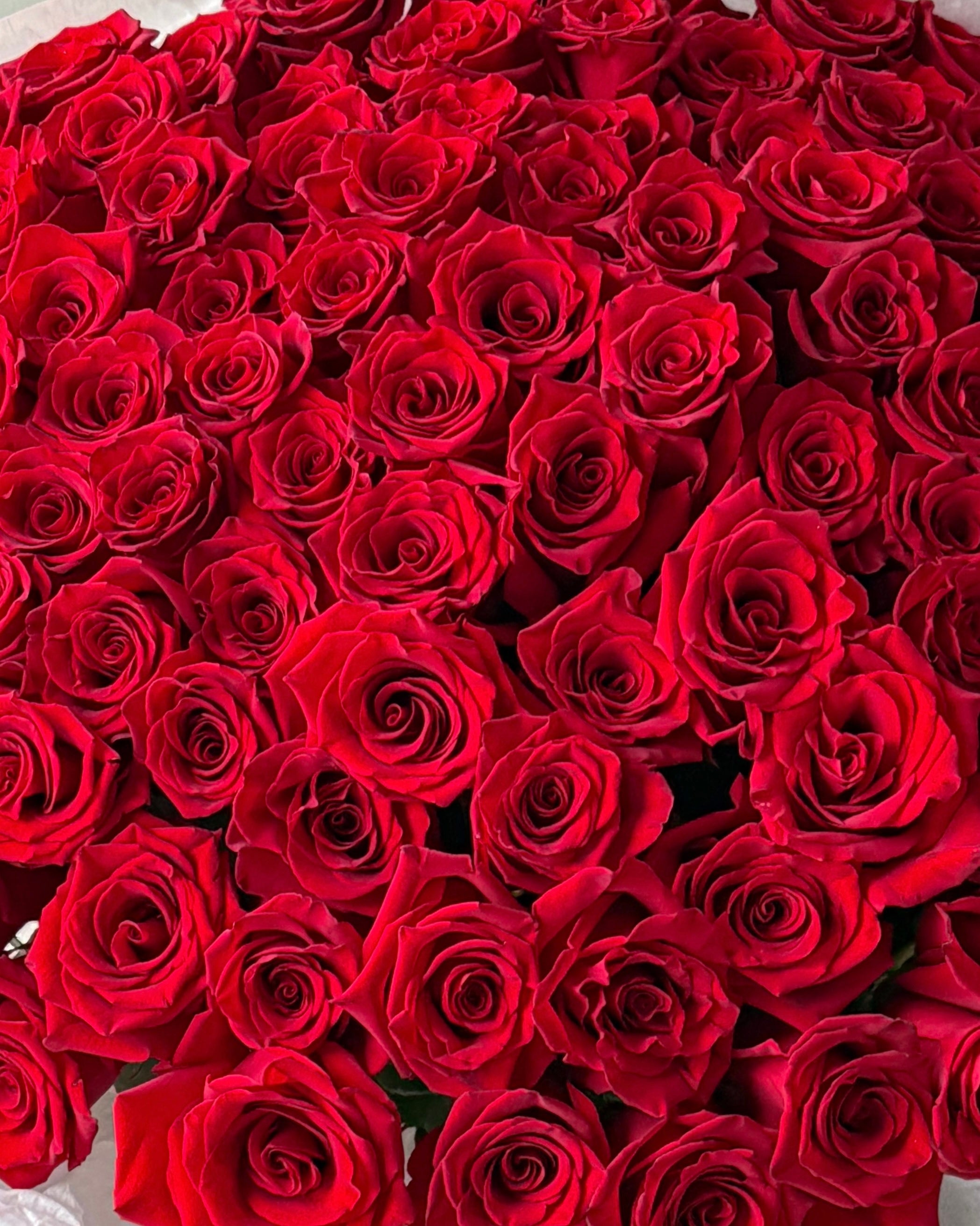 Bouquet of red roses - 100 stems in the pic