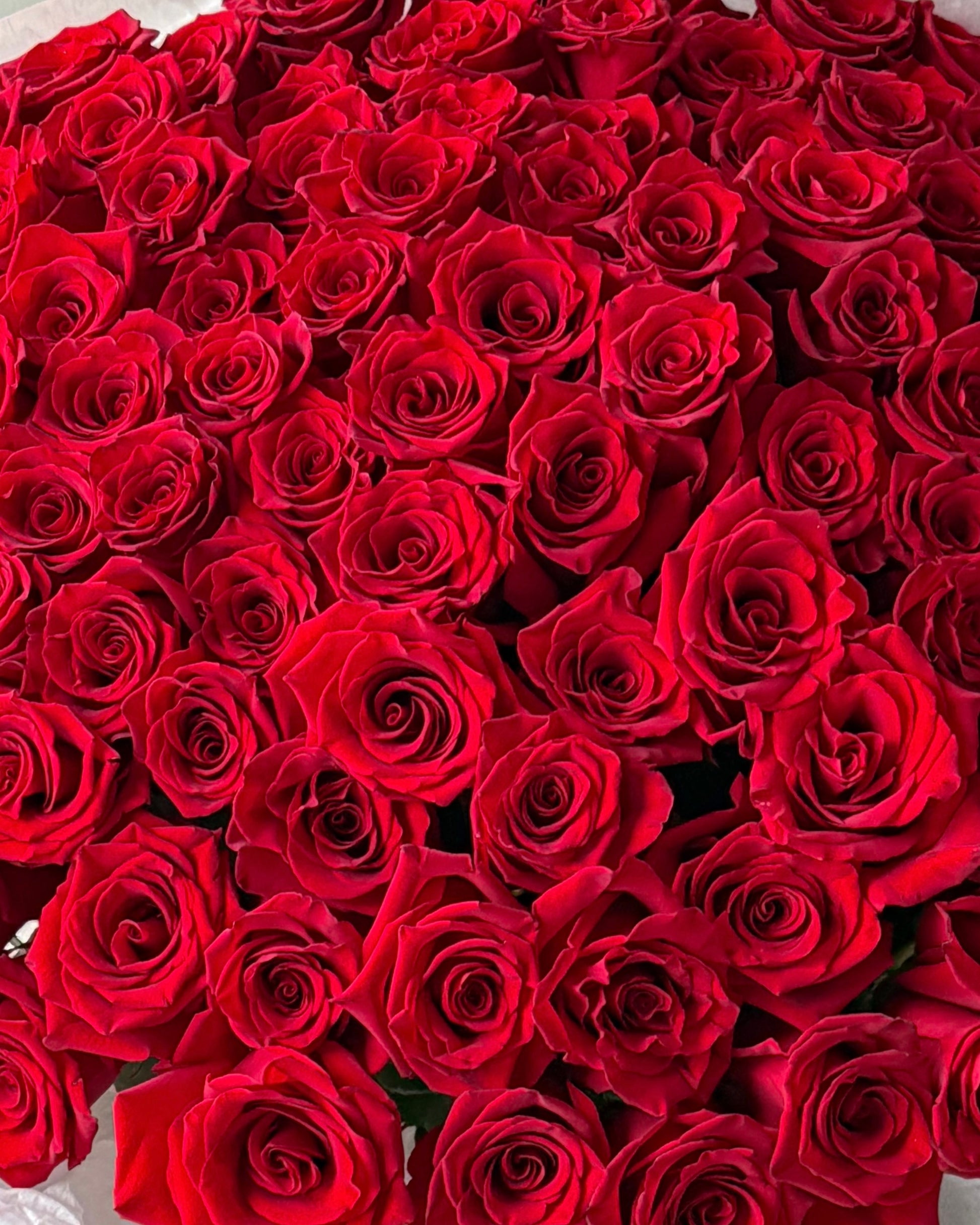 Bouquet of red roses - 100 stems in the pic