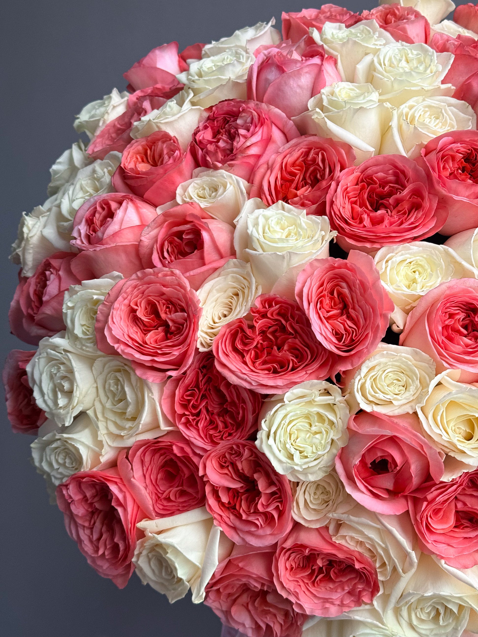 duo-100-white-pink-garden-roses-round-bouquet-all-me-flowers-nyc