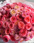 mix-of-100-garden-roses-bouquet-pink-blush-luxury-flowers-brooklyn-nyc