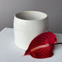 vase-n2-white-ceramic-glossy-minimalist-modern-decor-all-me-flowers-brooklyn-nyc