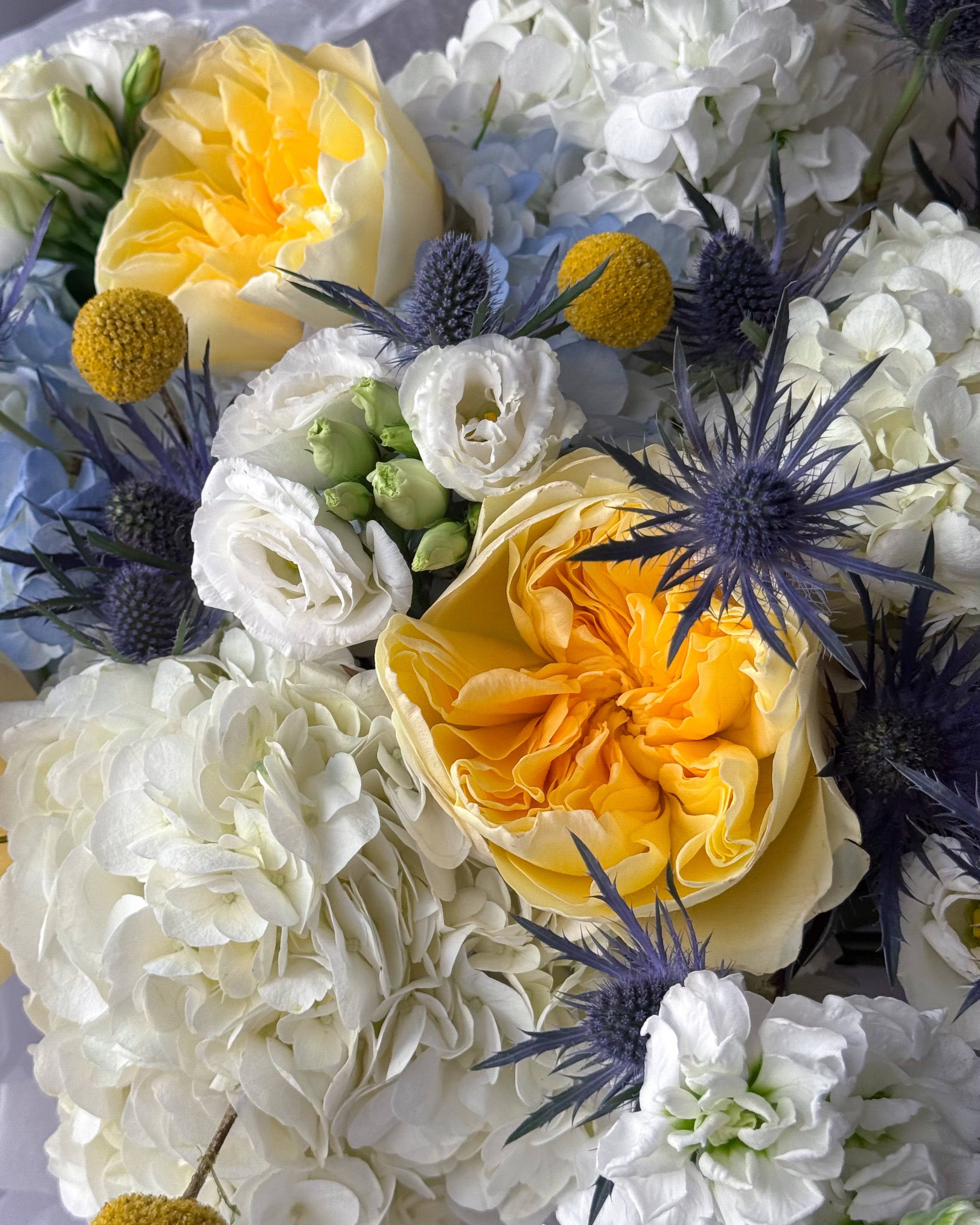 round-bouquet-lemon-sky-yellow-roses-blue-thistle-palette-bouquets-all-me-flowers-nyc