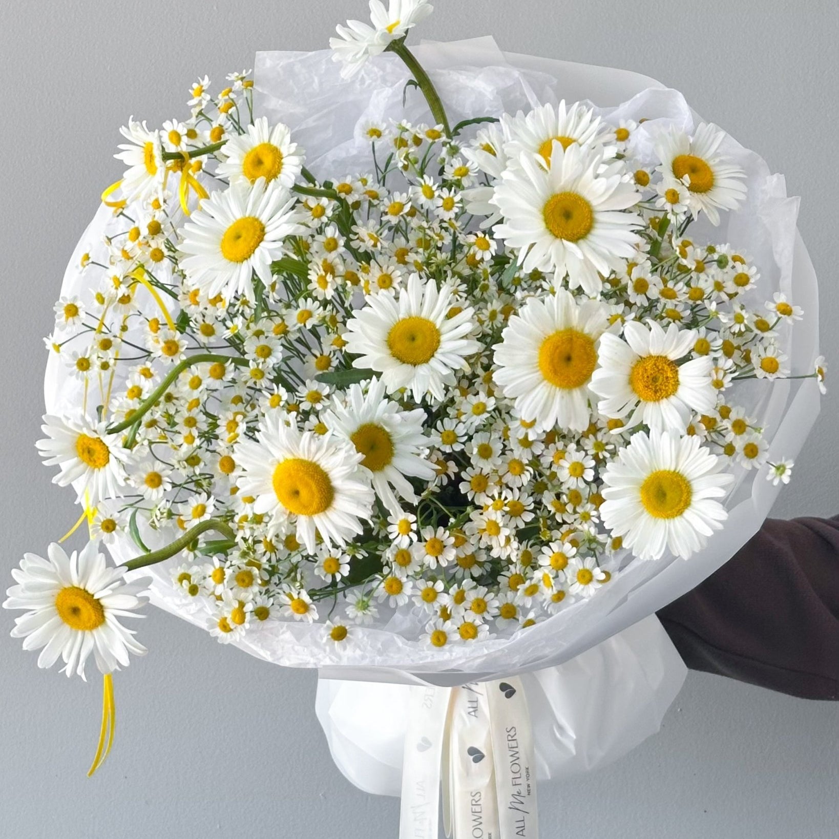 Bouquet “Chamomile Fields” - mix of chamomiles - All Me Flowers
