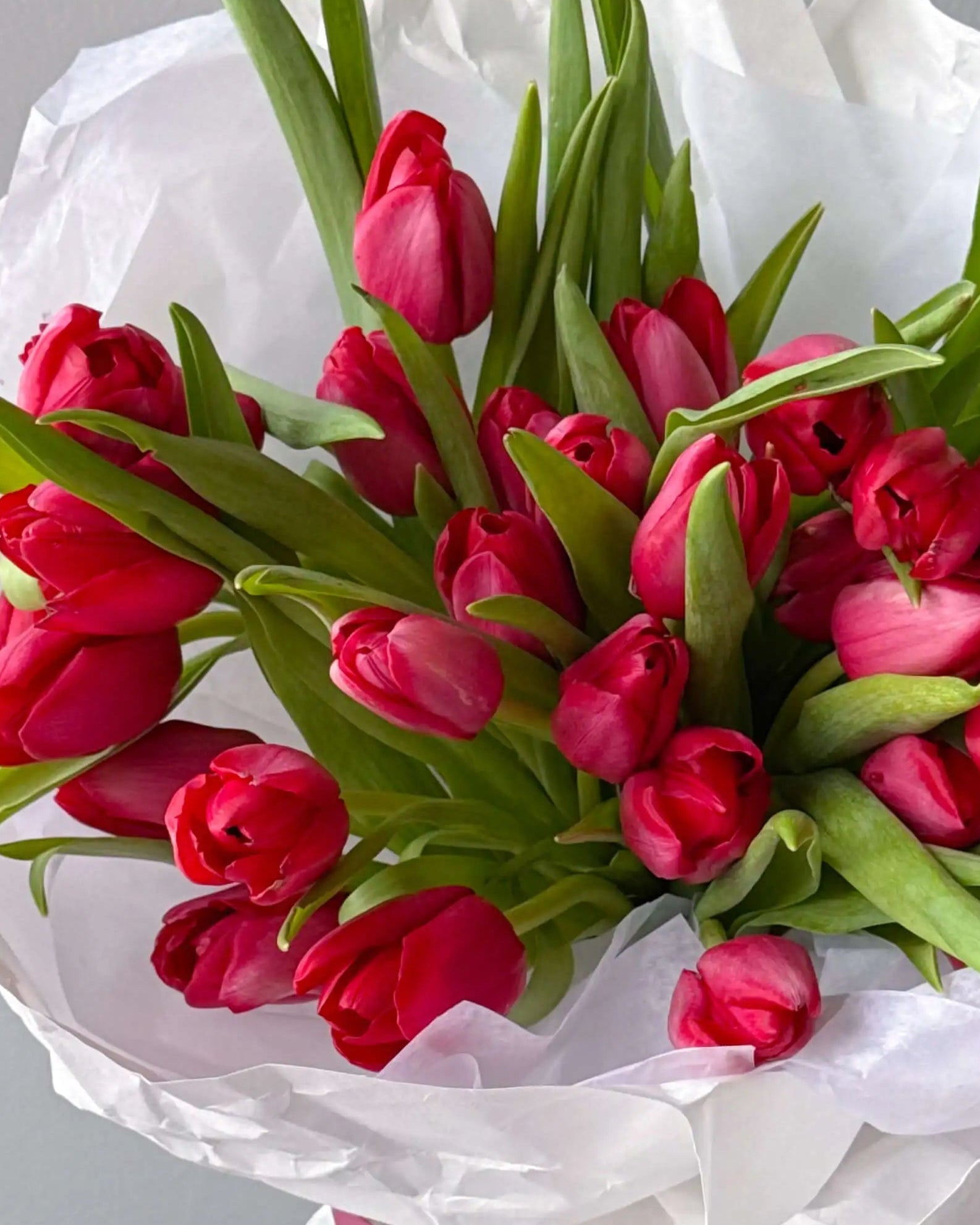 Bouquet “Classic Rouge” - red regular tulips - All Me Flowers