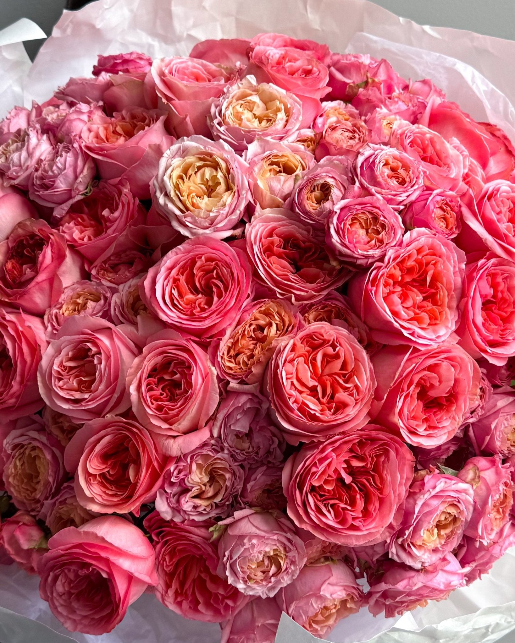 Bouquet of pink garden roses - 100 stems in the pic - All Me Flowers