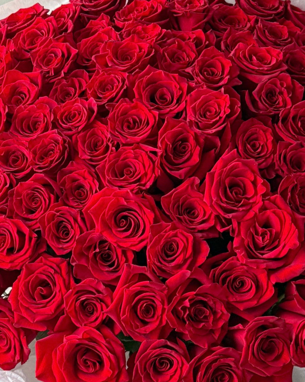 Bouquet of red roses - 100 stems in the pic - All Me Flowers