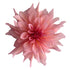 Dahlia - All Me Flowers
