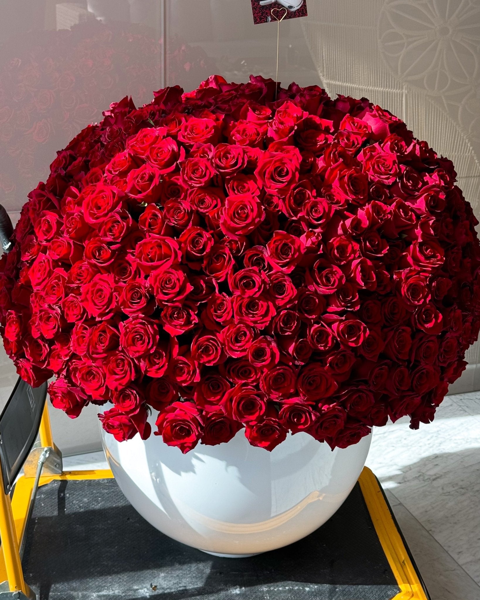 Luxury arrangement of red roses - 500 stems - All Me Flowers