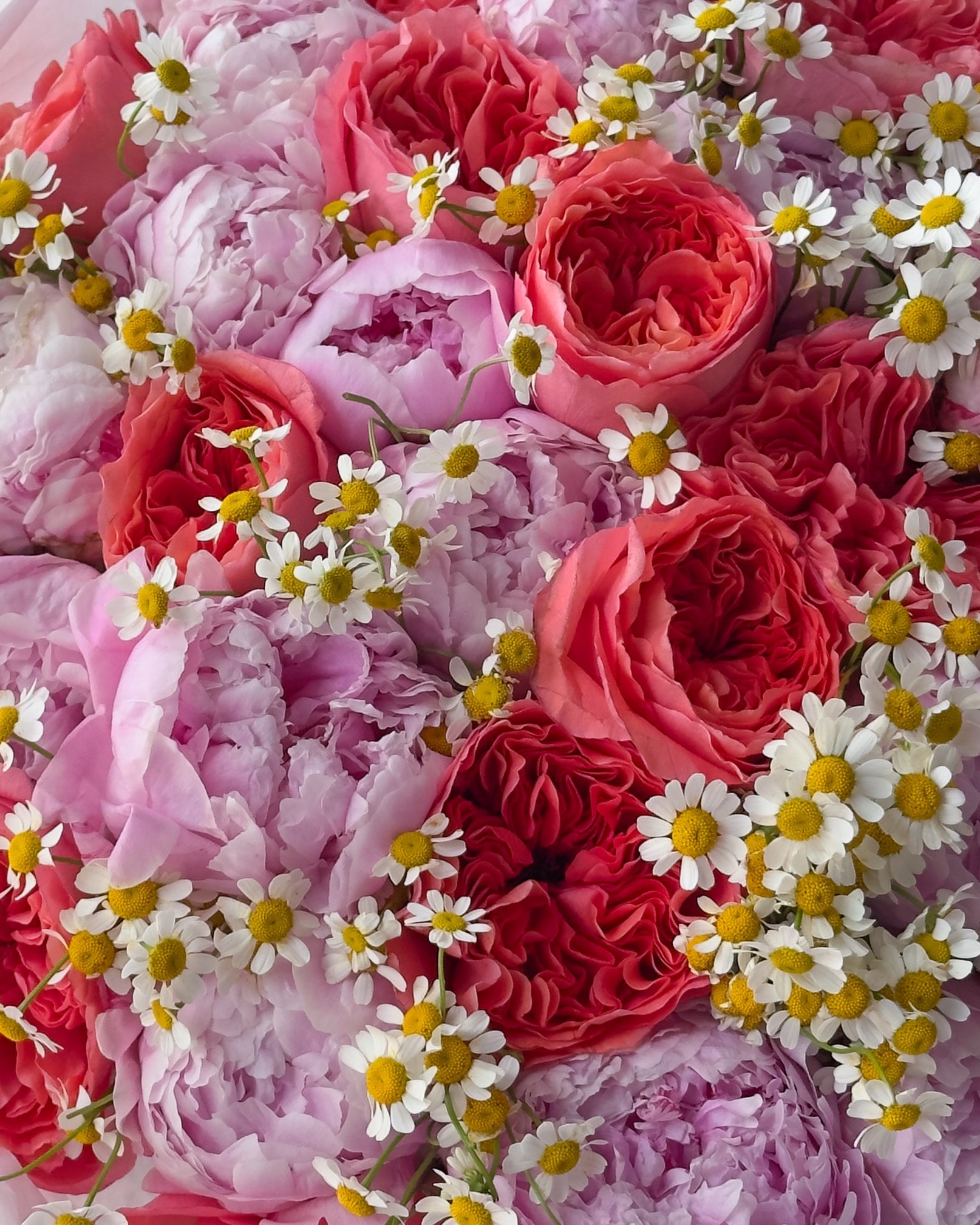Trio bouquet “Warm June” - peonies, chamomile, peony roses - All Me Flowers