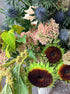 Vase Arrangement "Forest Reverie" - french roses, seasonal flowers, vase included - All Me Flowers