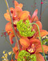 Vase Arrangement “Golden Harvest” - orchids, anthuriums, exotic seasonal flowers, vase included - All Me Flowers