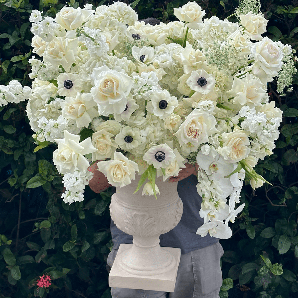 Vase Arrangement “Serene Aura” - orchids, roses, anemones, vase included - All Me Flowers