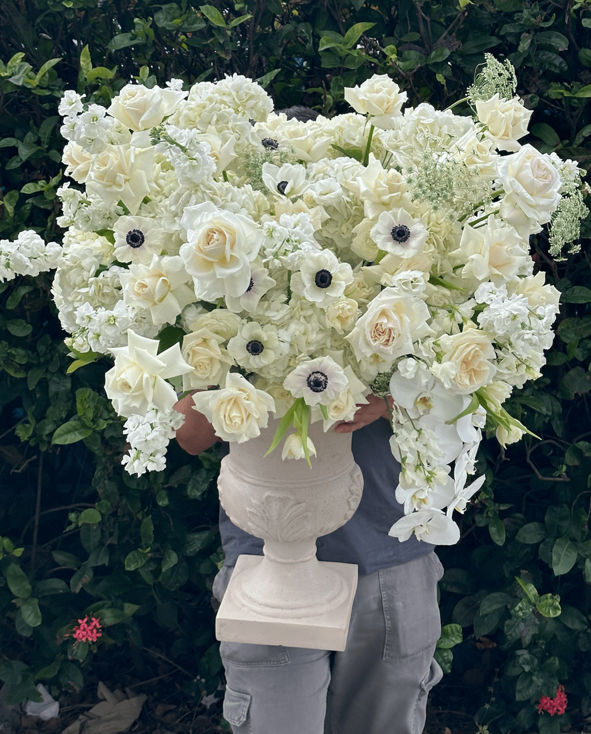 Vase Arrangement “Serene Aura” - orchids, roses, anemones, vase included - All Me Flowers