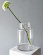 Vase N.3 - clear glass vase - All Me Flowers