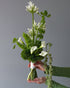 Wedding Bouquet “Verdant” - calla lilies, agapanthus, green blooms - All Me Flowers